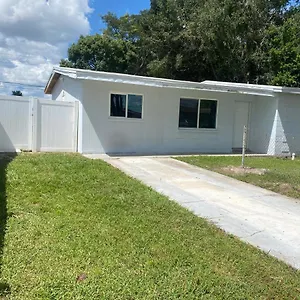 Dan G Tampa