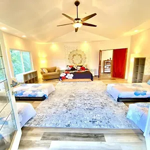 The House - Gorgeous, Spacious 4bd2ba Near Waterfalls And Hilo, Sleeps 12! Honomu